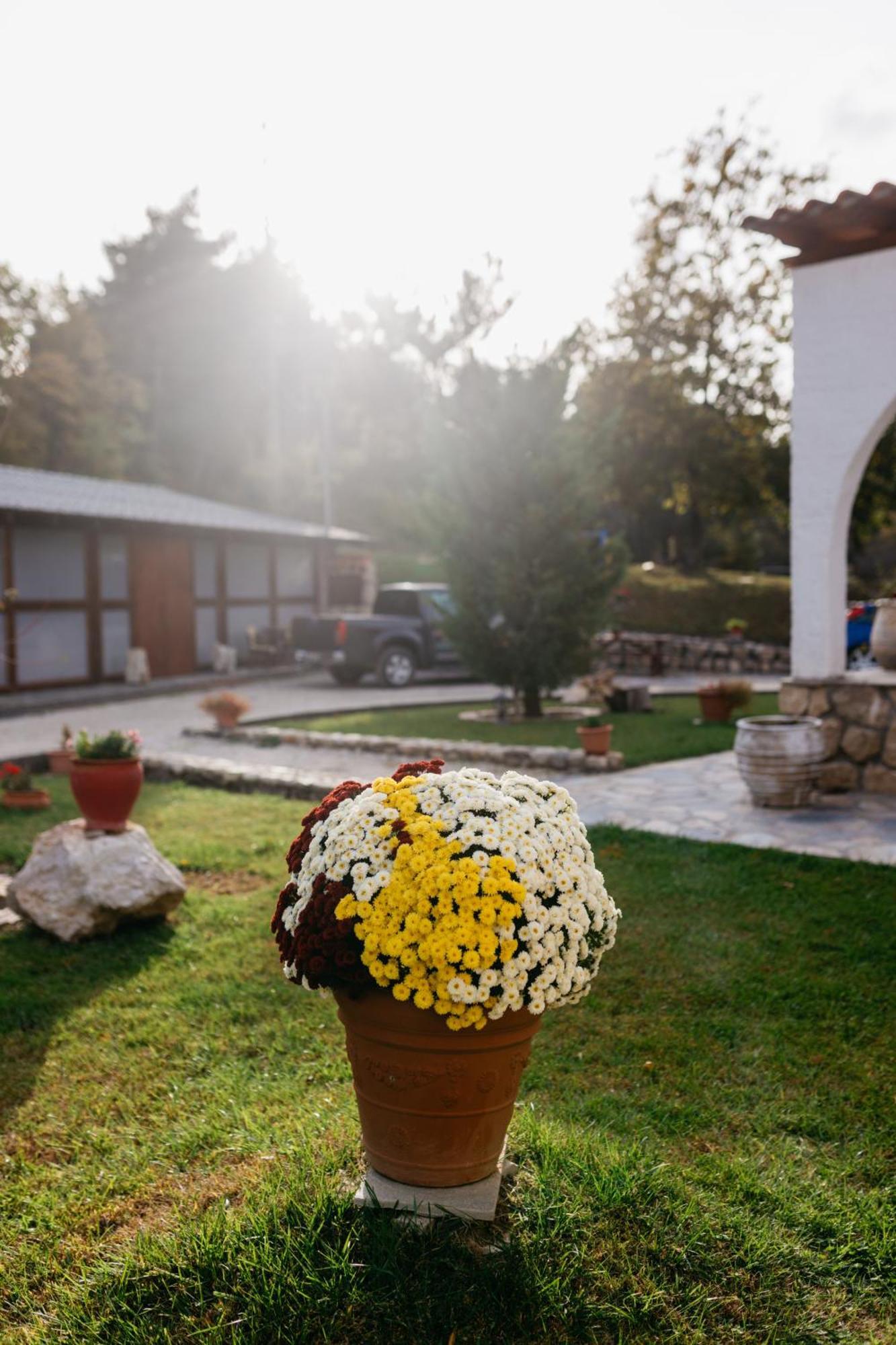 Apolithomeno Dasos Holiday Villas Near Alexandroupolis Lefkimmi  Esterno foto